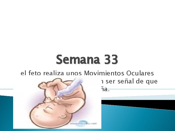 Semana 33 el feto realiza unos Movimientos Oculares Rápidos (MOR) que pueden ser señal