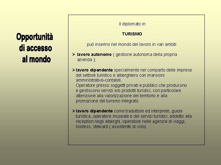 Il diplomato in TURISMO può inserirsi nel mondo del lavoro in vari ambiti: Ø