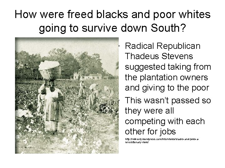 How were freed blacks and poor whites going to survive down South? • Radical