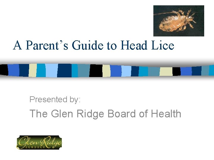 A Parent’s Guide to Head Lice Presented by: The Glen Ridge Board of Health