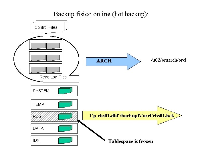 Backup fisico online (hot backup): Control Files ARCH /u 02/oraarch/orcl Redo Log Files SYSTEM