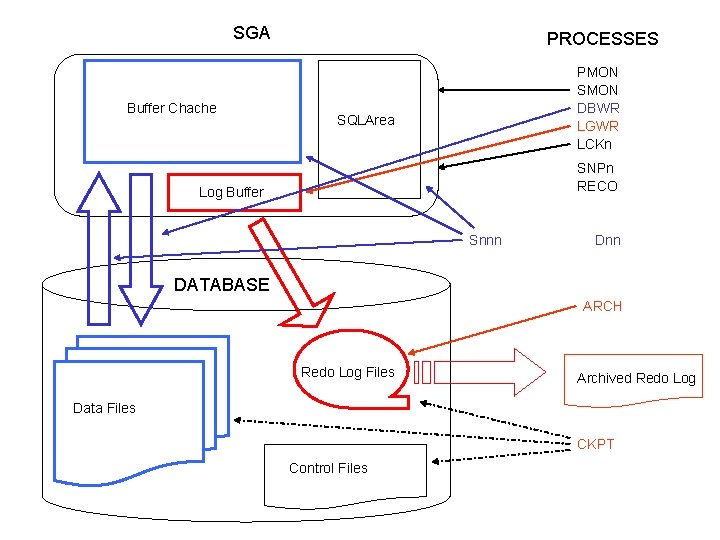 SGA Buffer Chache PROCESSES PMON SMON DBWR LGWR LCKn SQLArea SNPn RECO Log Buffer