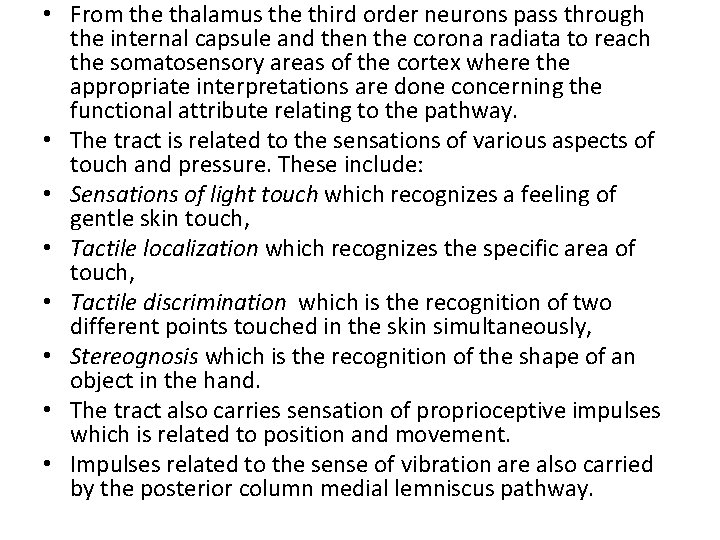 • From the thalamus the third order neurons pass through the internal capsule • From the thalamus the third order neurons pass through the internal capsule