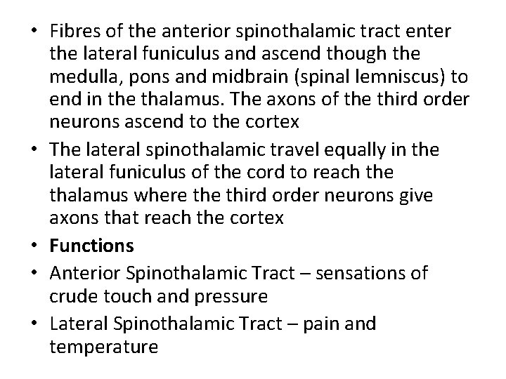 • Fibres of the anterior spinothalamic tract enter the lateral funiculus and ascend • Fibres of the anterior spinothalamic tract enter the lateral funiculus and ascend