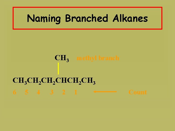 Naming Branched Alkanes CH 3 methyl branch CH 3 CH 2 CHCH 2 CH