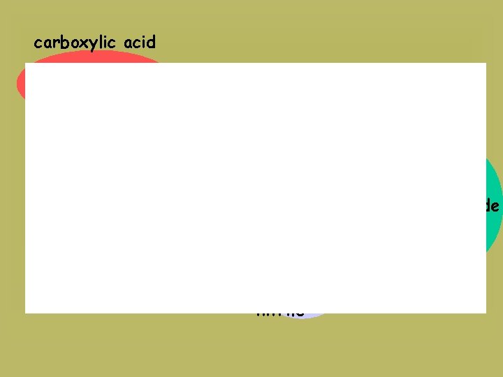 carboxylic acid ether ester aldehyde amine nitrile 