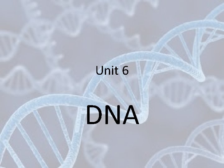 Unit 6 DNA 
