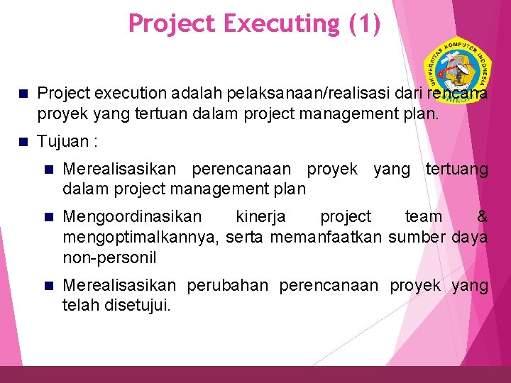 Project Executing (1) 30 n Project execution adalah pelaksanaan/realisasi dari rencana proyek yang tertuan