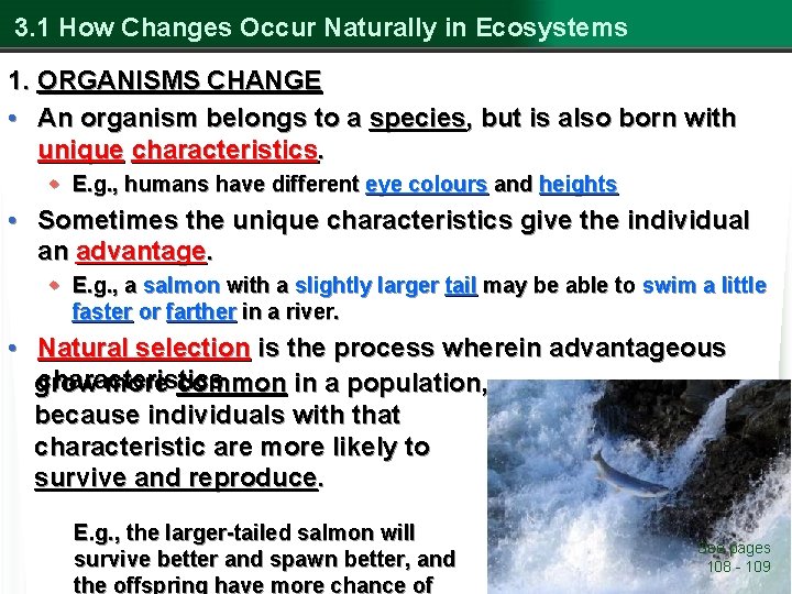 3. 1 How Changes Occur Naturally in Ecosystems 1. ORGANISMS CHANGE • An organism