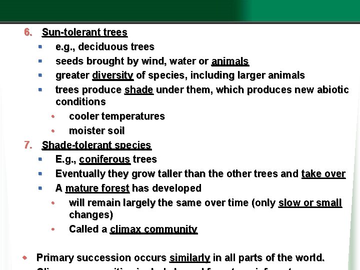 6. Sun-tolerant trees § e. g. , deciduous trees § seeds brought by wind,