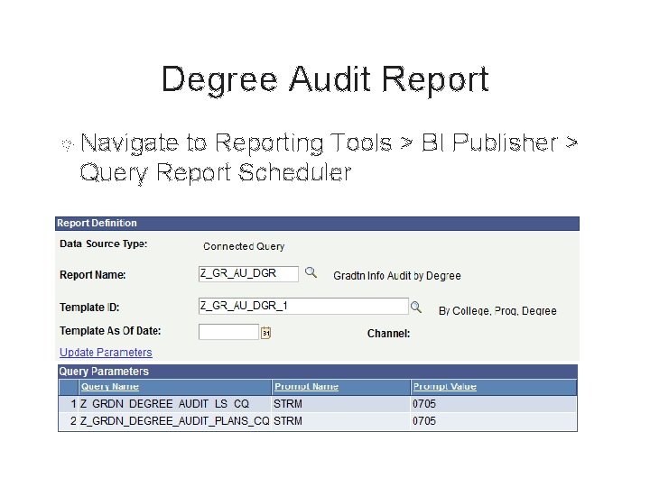 Degree Audit Report Navigate to Reporting Tools > BI Publisher > Query Report Scheduler Degree Audit Report Navigate to Reporting Tools > BI Publisher > Query Report Scheduler