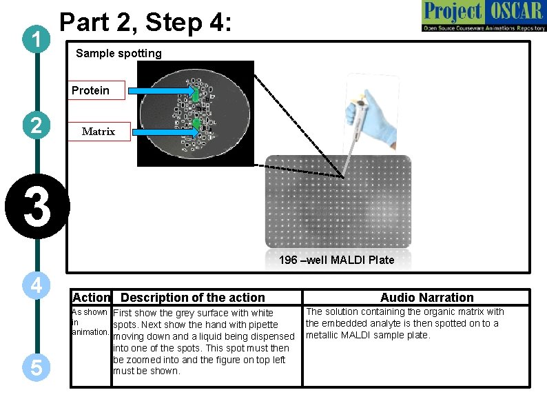 1 Part 2, Step 4: Sample spotting Protein 2 Matrix 3 196 –well MALDI