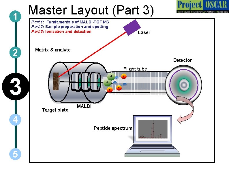 1 2 Master Layout (Part 3) Part 1: Fundamentals of MALDI-TOF MS Part 2: