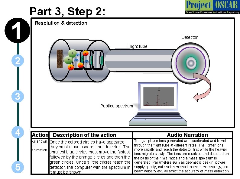 1 Part 3, Step 2: Resolution & detection Detector Flight tube 2 3 Peptide