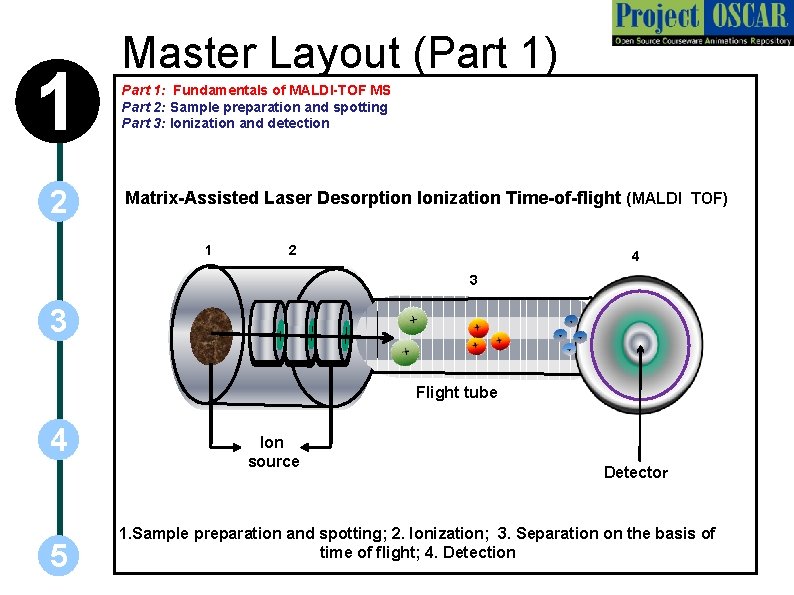 1 2 Master Layout (Part 1) Part 1: Fundamentals of MALDI-TOF MS Part 2: