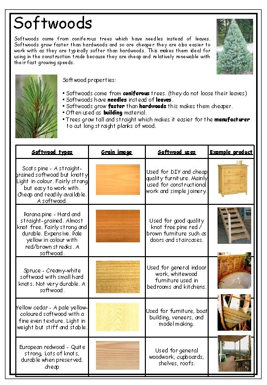 Softwoods come from coniferous trees which have needles instead of leaves. Softwoods grow faster