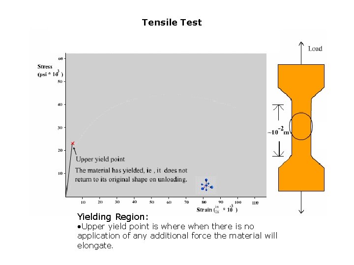 Tensile Test Yielding Region: • Upper yield point is where when there is no