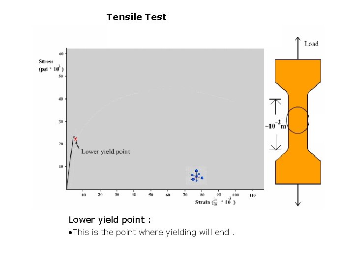 Tensile Test Lower yield point : • This is the point where yielding will