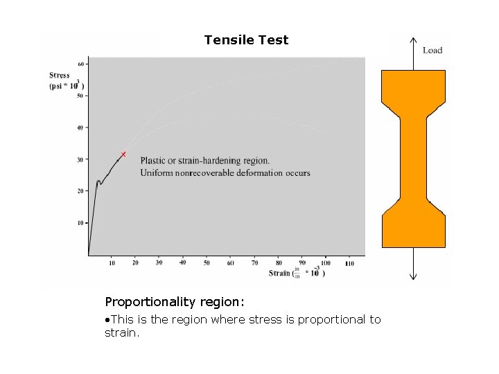 Tensile Test Proportionality region: • This is the region where stress is proportional to