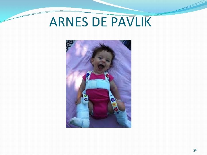 ARNES DE PAVLIK 36 ARNES DE PAVLIK 36