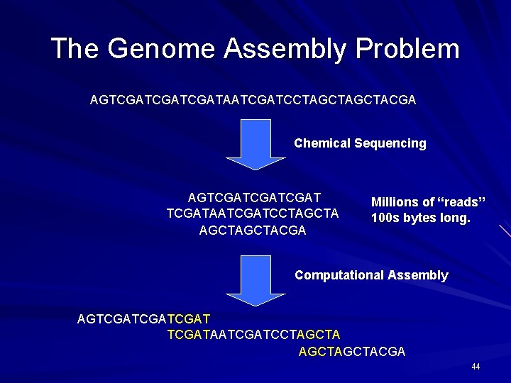 The Genome Assembly Problem AGTCGATCGATAATCGATCCTAGCTACGA Chemical Sequencing AGTCGATCGATAATCGATCCTAGCTACGA Millions of “reads” 100 s bytes