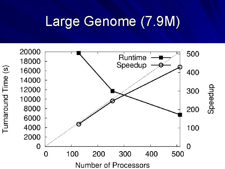 Large Genome (7. 9 M) 46 