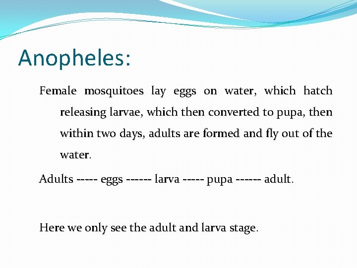 Anopheles: Female mosquitoes lay eggs on water, which hatch releasing larvae, which then converted
