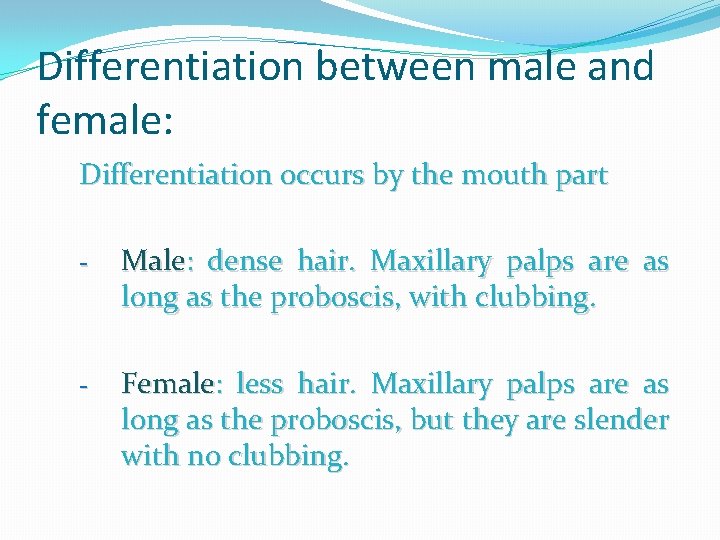 Differentiation between male and female: Differentiation occurs by the mouth part - Male: dense