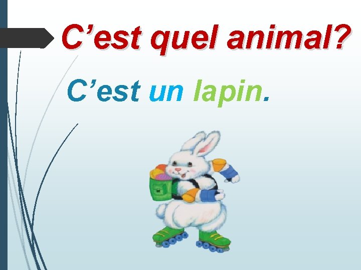 C’est quel animal? C’est un lapin. 