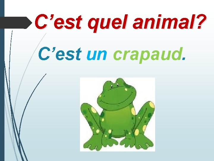 C’est quel animal? C’est un crapaud. 