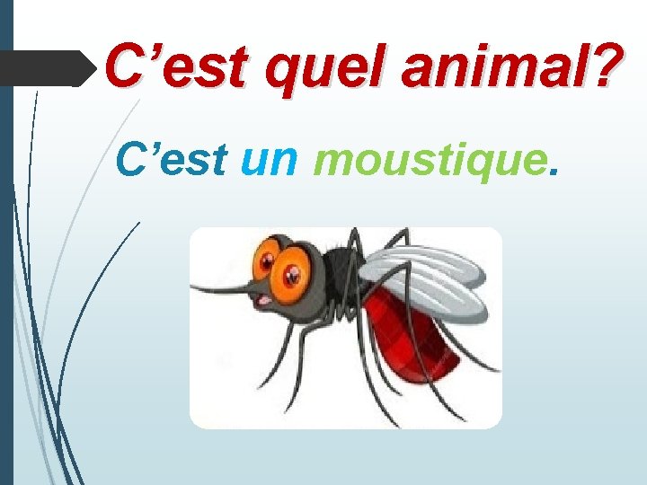 C’est quel animal? C’est un moustique. 