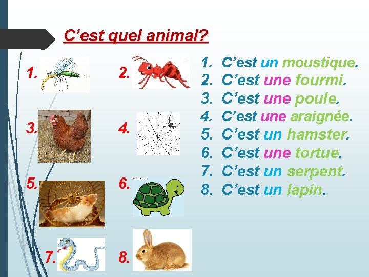 C’est quel animal? 1. 2. 3. 4. 5. 6. 7. 8. 1. C’est un