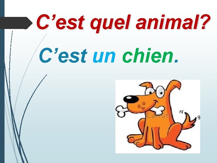 C’est quel animal? C’est un chien. 