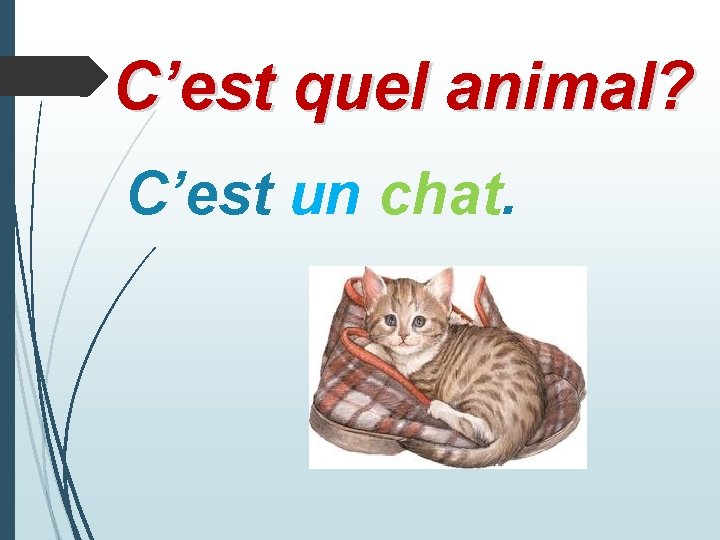 C’est quel animal? C’est un chat. 