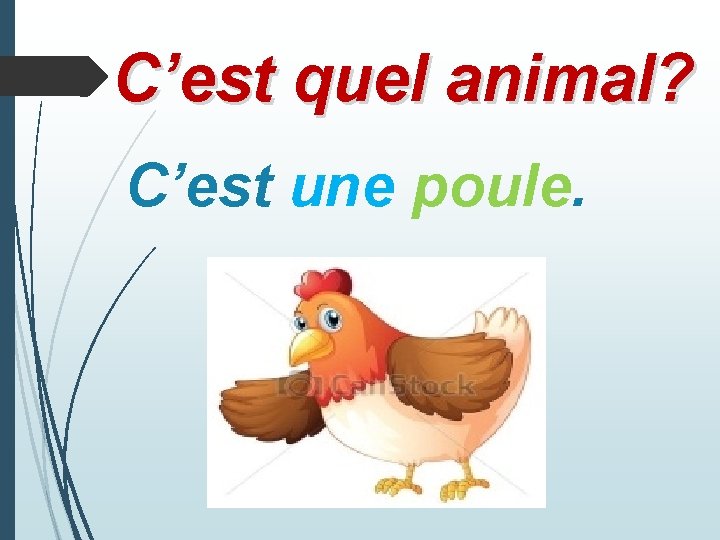 C’est quel animal? C’est une poule. 