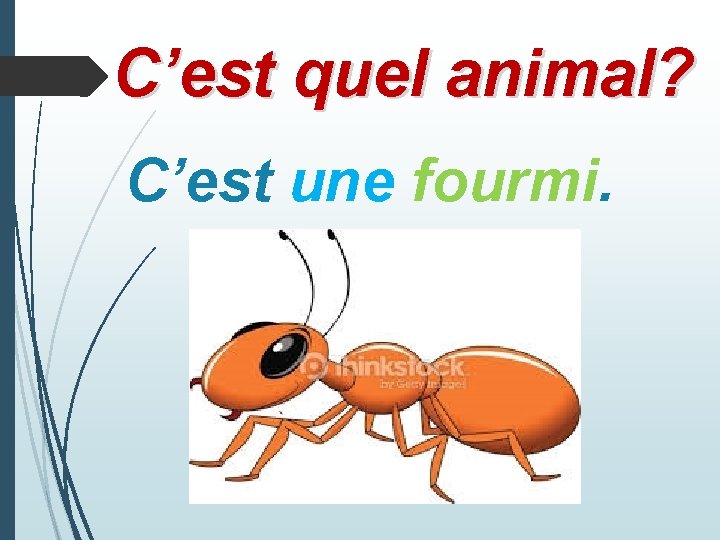 C’est quel animal? C’est une fourmi. 