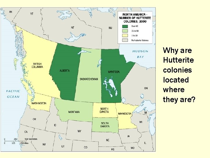 Why are Hutterite colonies located where they are? 