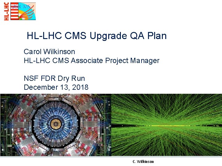 HL-LHC CMS Upgrade QA Plan Carol Wilkinson HL-LHC CMS Associate Project Manager NSF FDR