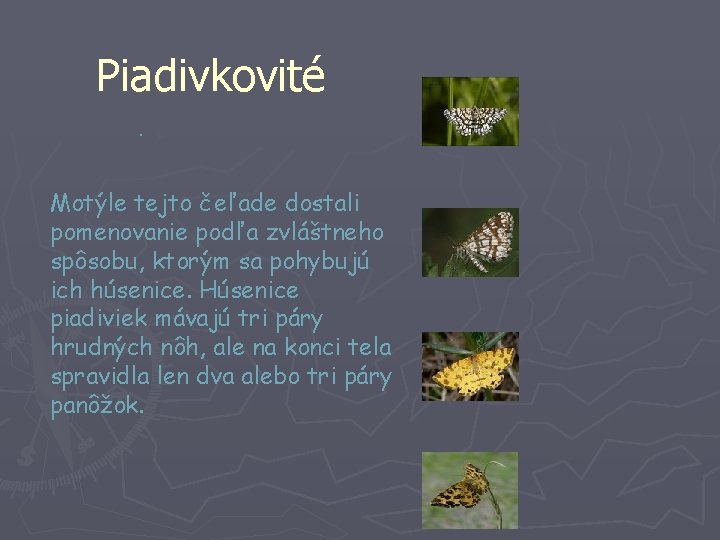 Piadivkovité § ju Motýle tejto čeľade dostali pomenovanie podľa zvláštneho spôsobu, ktorým sa pohybujú