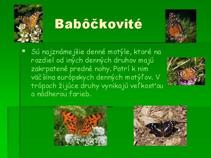 Babôčkovité § j. Sú najznámejšie denné motýle, ktoré na rozdiel od iných denných druhov