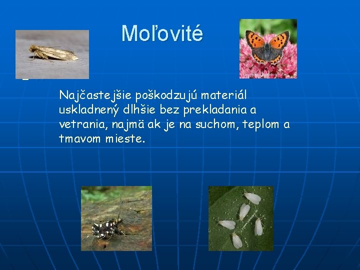 Moľovité n h Najčastejšie poškodzujú materiál uskladnený dlhšie bez prekladania a vetrania, najmä ak