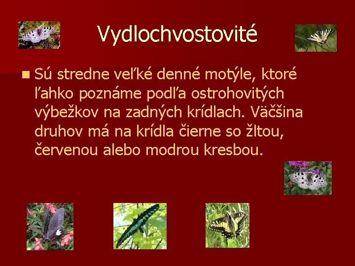 Vydlochvostovité n Sú stredne veľké denné motýle, ktoré ľahko poznáme podľa ostrohovitých výbežkov na