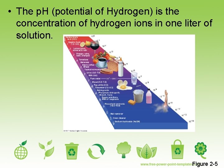  • The p. H (potential of Hydrogen) is the concentration of hydrogen ions
