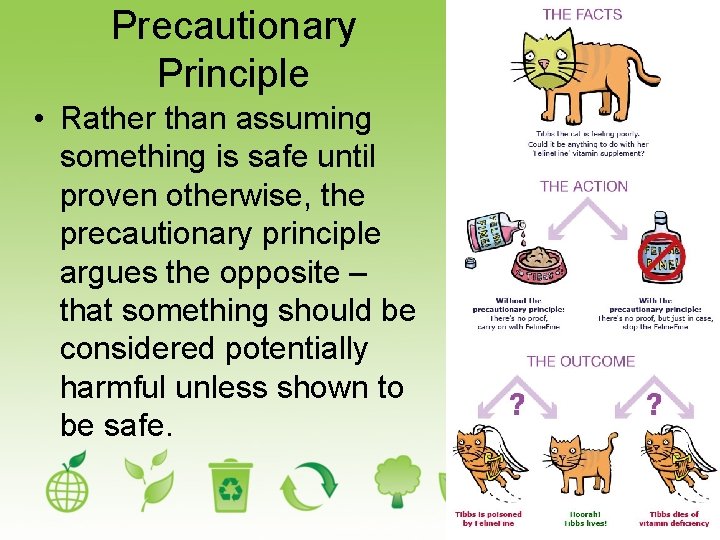Precautionary Principle • Rather than assuming something is safe until proven otherwise, the precautionary