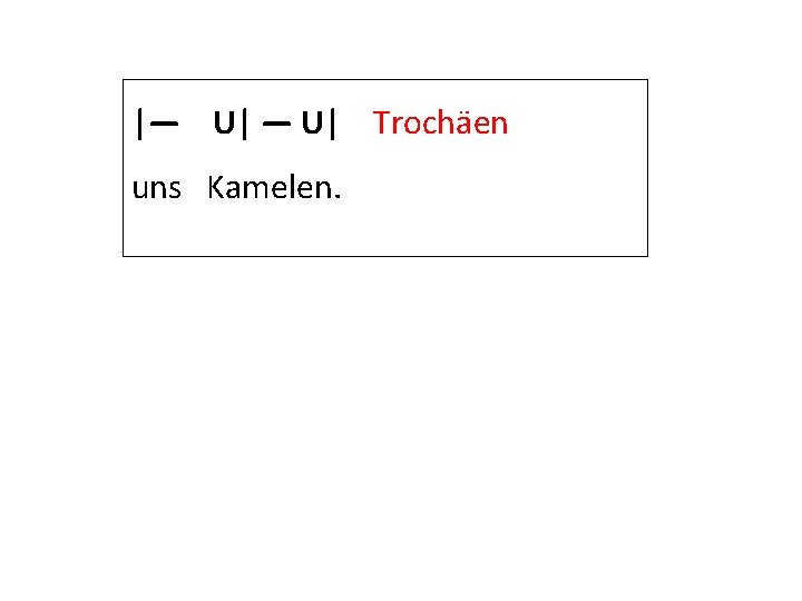 |— U| Trochäen uns Kamelen. 