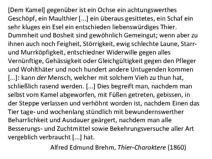 [Dem Kamel] gegenüber ist ein Ochse ein achtungswerthes Geschöpf, ein Maulthier [. . .