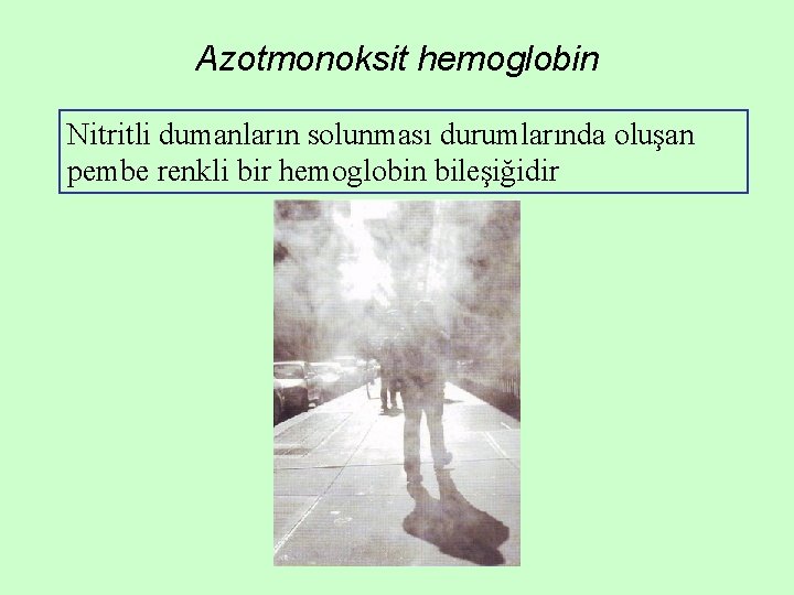 Azotmonoksit hemoglobin Nitritli dumanların solunması durumlarında oluşan pembe renkli bir hemoglobin bileşiğidir Azotmonoksit hemoglobin Nitritli dumanların solunması durumlarında oluşan pembe renkli bir hemoglobin bileşiğidir