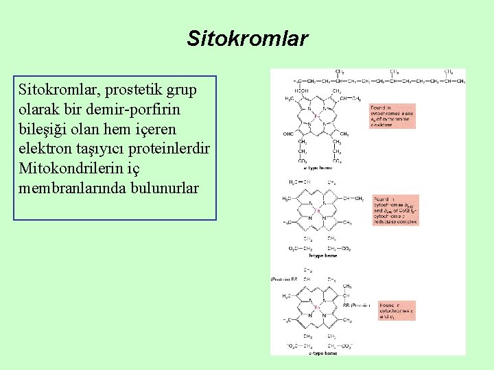 Sitokromlar, prostetik grup olarak bir demir-porfirin bileşiği olan hem içeren elektron taşıyıcı proteinlerdir Mitokondrilerin Sitokromlar, prostetik grup olarak bir demir-porfirin bileşiği olan hem içeren elektron taşıyıcı proteinlerdir Mitokondrilerin