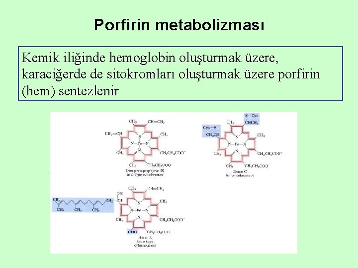 Porfirin metabolizması Kemik iliğinde hemoglobin oluşturmak üzere, karaciğerde de sitokromları oluşturmak üzere porfirin (hem) Porfirin metabolizması Kemik iliğinde hemoglobin oluşturmak üzere, karaciğerde de sitokromları oluşturmak üzere porfirin (hem)