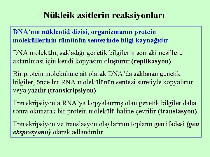 Nükleik asitlerin reaksiyonları DNA’nın nükleotid dizisi, organizmanın protein moleküllerinin tümünün sentezinde bilgi kaynağıdır DNA Nükleik asitlerin reaksiyonları DNA’nın nükleotid dizisi, organizmanın protein moleküllerinin tümünün sentezinde bilgi kaynağıdır DNA